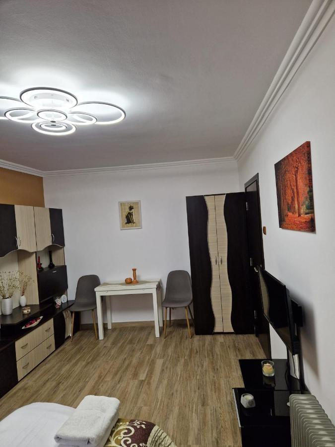 Garsoniera Apartment Baile Herculane Exterior photo